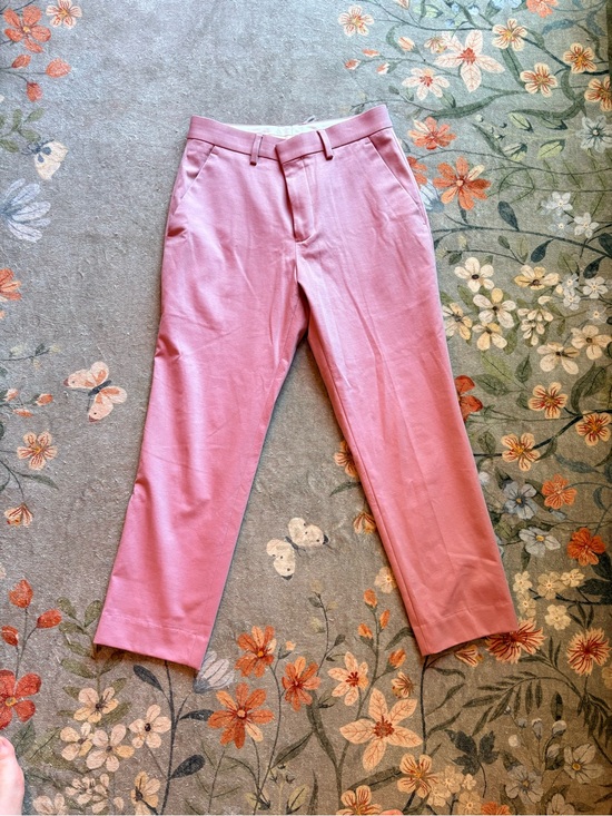 Express Pants - Express Dusty Pink Dress Pants